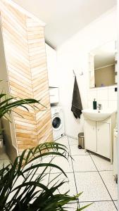 mała kuchnia ze zlewem i pralką w obiekcie Apartament Słoneczny 1 w mieście Opole +37 zdjęć