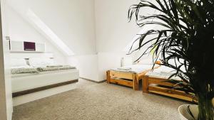 Łóżko lub łóżka w pokoju w obiekcie Apartament Słoneczny 1