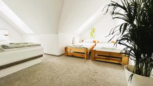 Część wypoczynkowa w obiekcie Apartament Słoneczny 1