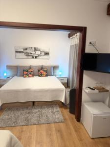 a bedroom with a bed and a flat screen tv at Residencial Pôr do Sol in Couço