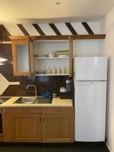 Kuchyň nebo kuchyňský kout v ubytování Appartements Charles De Gaulle
