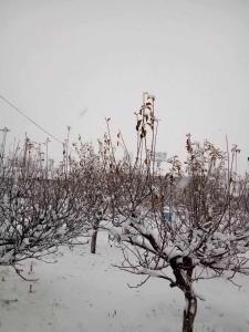 Ảnh trong thư viện ảnh của Zovaber hangsti goti ở Sevan