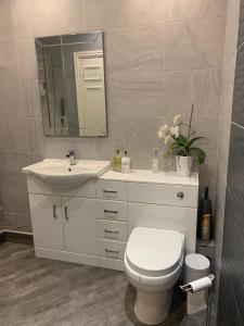 a bathroom with a toilet and a sink and a mirror at Shore Cottage A traditional cosy cottage in Wilpshire +23 photos