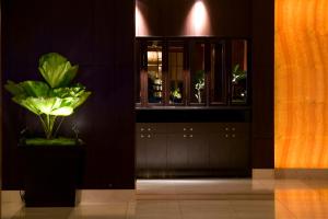a plant in a pot next to a window at Sheraton Miyako Hotel Osaka in Osaka