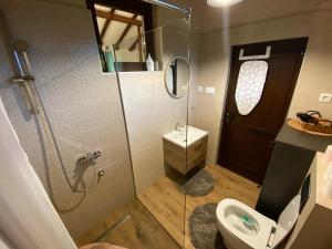 ein Badezimmer mit Dusche, Toilette und Waschbecken in der Unterkunft Cevna River in Podgorica