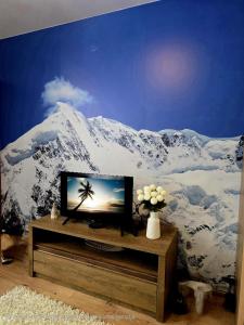 Μια τηλεόραση ή/και κέντρο ψυχαγωγίας στο Apartment Violet Jahorina
