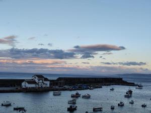 a group of boats in the water in a harbor at Camiño dos faros Malpica in Malpica +13 photos