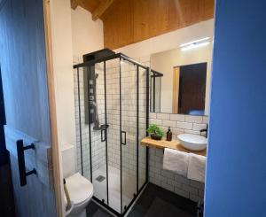 a bathroom with a shower and a toilet and a sink at Casa Arroio - Casco antiguo de Allariz in Allariz
