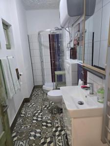 Koupelna v ubytování JANUS COUNTRY SITE Árpád-ház