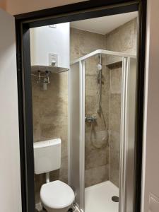 a bathroom with a shower with a toilet and a shower at SiDi Doppelzimmer in Erfurt