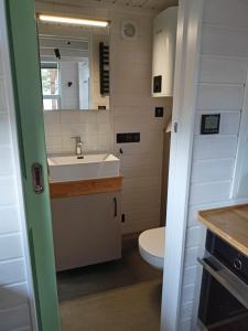 a small bathroom with a sink and a toilet at Tiny house in the forest in Szlachta +46 photos