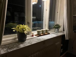 KristinebergKriberg Wild Lappland的相册照片 更多16张照片