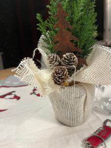 KristinebergKriberg Wild Lappland的相册照片