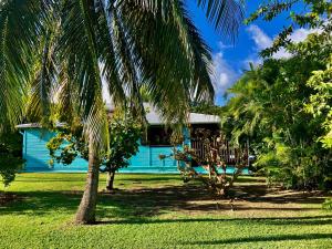 een blauw huis met palmbomen ervoor bij Villa Tara Fort Royal in Deshaies