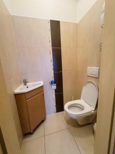 a small bathroom with a toilet and a sink at Mountain apartment Klinovec Hexagon B14 in Loučná pod Klínovcem