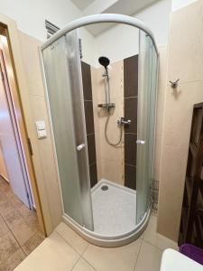 a shower with a glass door in a bathroom at Mountain apartment Klinovec Hexagon B14 in Loučná pod Klínovcem +4 photos
