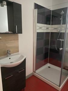 a bathroom with a shower and a sink at Bazilmotoserv in Ceahlău +27 photos