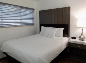a bedroom with a large white bed with a window at The Dylan, a Baymont by Wyndham in Seattle