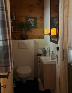Koupelna v ubytování Armis Tiny House