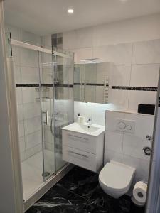 a bathroom with a toilet and a shower and a sink at 1 Zimmer Wohnung Laatzen nähe Messe in Hannover