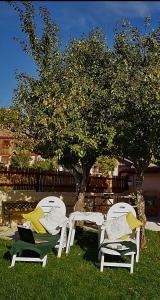a group of chairs sitting in the grass under a tree at Casa de la Presa in La Granja de San Ildefonso