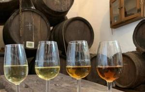 three wine glasses sitting on a table with wine barrels at Casa Due Amori in Montilla