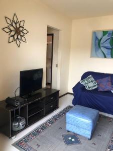 a living room with a flat screen tv and a couch at Apartamento Iguaba Grande, bairro Canellas City , Condomínio Claudia, em frente ao Quiosque do popeye in Iguaba Grande