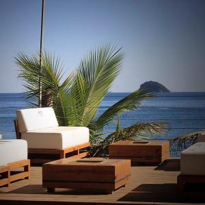 a beach with chairs and a palm tree and the ocean at Por do sol Boiçucanga in São Sebastião