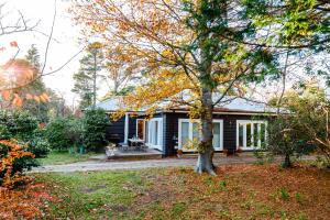 una piccola casa con un albero di fronte di Charming Moutain Cottage -Pet Friendly a Blackheath