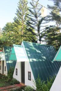 a house with a green roof at Villa Karensa Farm in General Emilio Aguinaldo