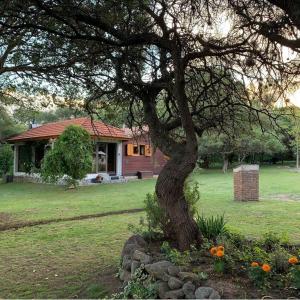 una casa con un árbol delante de un patio en La Almenara Lodge, en Villa General Belgrano