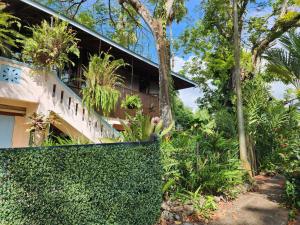 Aed väljaspool majutusasutust Gamboa Apartment Toucan y Studio Ñeque