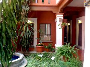 Una casa con plantas en macetas delante de ella. en Hotel Maela, en Oaxaca City