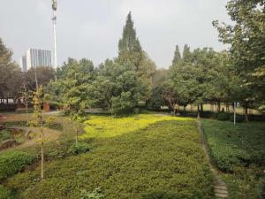 a park with trees and a field of grass at Cozylife Hotel Canal in Hangzhou