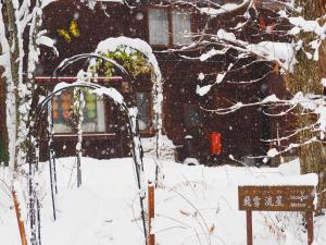 Το Snowfall Meteor 飛雪流星 τον χειμώνα