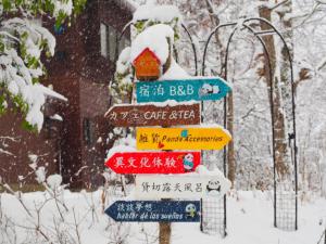 Snowfall Meteor 飛雪流星 v zimě