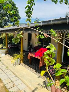 Zahrada ubytování Cinnamon Homestay ella + 37 fotografií
