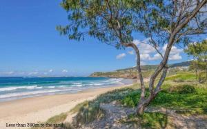 a beach with a tree and the ocean at Shoreline Luxe - Refined Beachside Elegance with Spa in Caves Beach