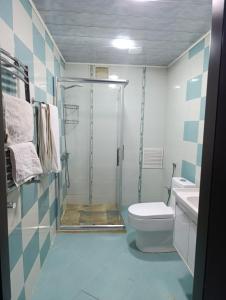 バクーにあるAEF Hotelのバスルーム(シャワー、トイレ、シンク付)