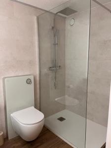 安塞热Studio élégant rénové avec vue à Anzère的一间带卫生间和玻璃淋浴间的浴室 更多5张照片