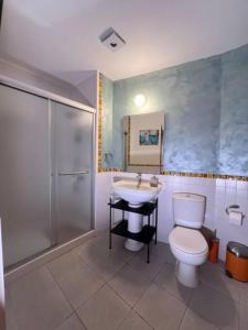 Un baño con inodoro, lavabo y ducha. en Finikous Cottage House-Agros, en Agros