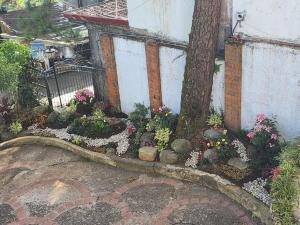 Zahrada ubytování Villa Moa Baguio