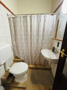 Kúpeľňa v ubytovaní Harmónia Vendégház