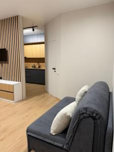 Kuchyň nebo kuchyňský kout v ubytování Studio on Sobornaya