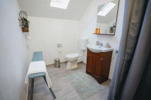 a bathroom with a sink and a toilet and a mirror at Prispa Casei in Floreşti +49 photos