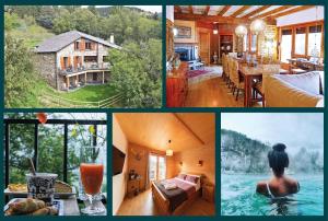 Příroda nedaleko bed and breakfast