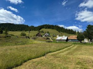 a field with a barn and a hill with trees at Casa Viorica- Pleta in Cîrlibaba