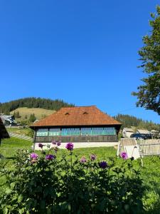 a building with a roof with flowers in the foreground at Casa Viorica- Pleta in Cîrlibaba