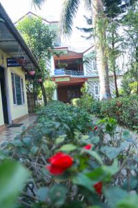 Κήπος έξω από το Hotel Village Inn