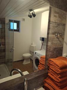 a bathroom with a shower and a toilet and a mirror at Holiday Home Nadira in Erdut